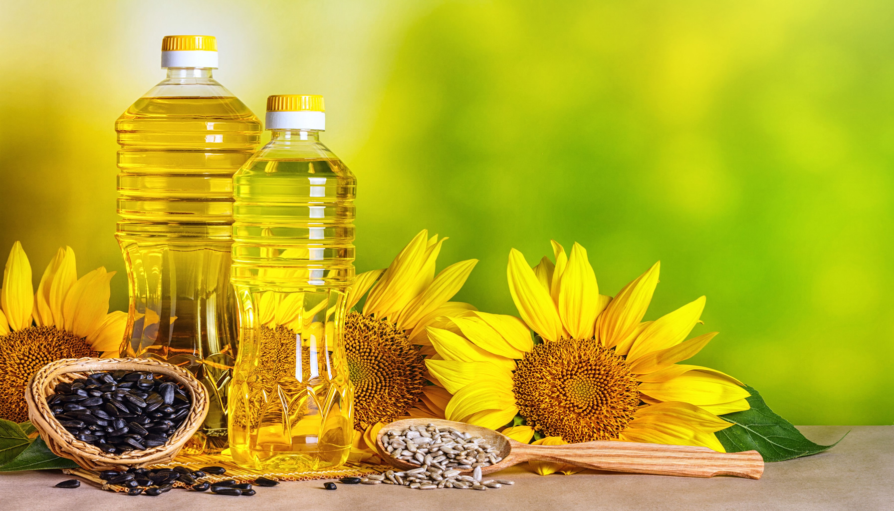 Sunflower Oil